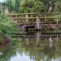 Kyabram Fauna Park – Club Outing 22 Jun 14